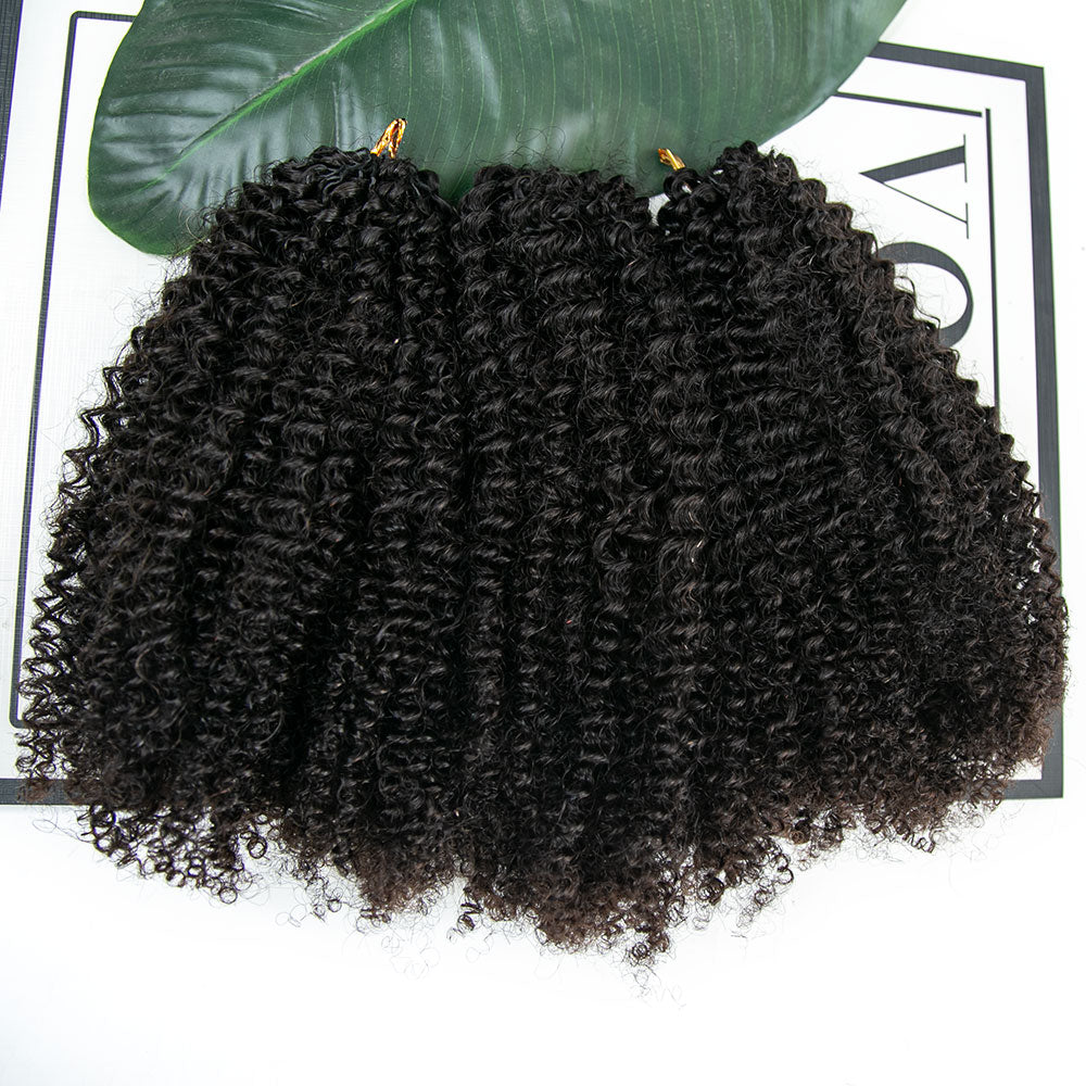 100% Human Hair Braids