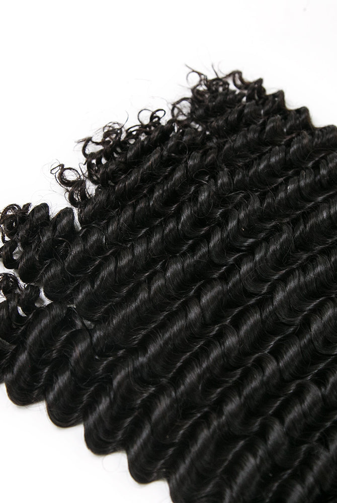 10A Burmese Spanish Curl Human