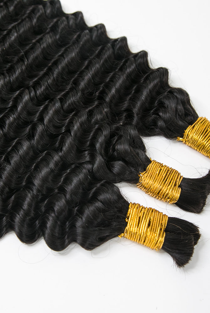 Double Drawn Burmese Spanish Curl