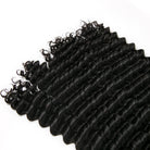 10A Burmese Spanish Curl Human