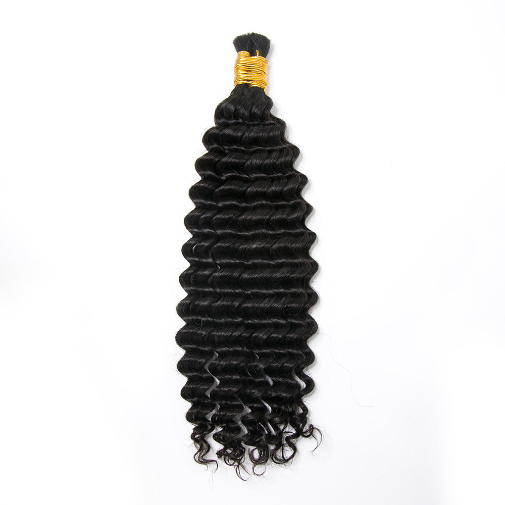 10A Burmese Spanish Curl