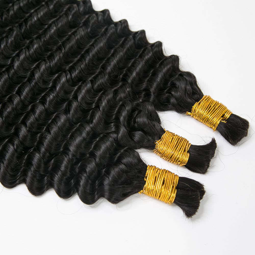  Double Drawn Burmese Spanish Curl 